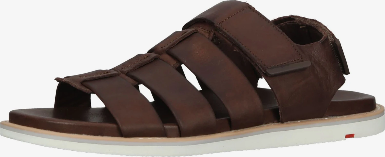 Lloyd Sandalen & Pantoffels Sandalen Elimar Heren Bruin 3 Lloyd Sandalen & Pantoffels Sandalen Elimar Heren Bruin
