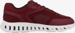 Geox Running Sneakers Sneakers Laag U Outstream A Heren Bordeaux -LLOYD Shoes Shop 1ff3f9d54bf53c162ed3970e6532204b