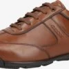 Geox Fashion Sneakers Sneakers Laag Edgeware Heren Bruin