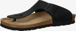 Rohde Slippers Teenslippers Grado Heren Zwart