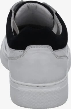 Josef Seibel Casual Sneakers Sneakers Laag Forrest 01 Heren Offwhite -LLOYD Shoes Shop 4ba288a1c6fbc0fe254336a5a71e7dda