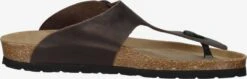 Rohde Slippers Teenslippers Grado Heren Bruin -LLOYD Shoes Shop 5abcdf8fc3580e18a9340c665c21283d