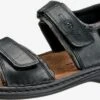 Josef Seibel Sandalen & Pantoffels Sandalen Rafe Heren Zwart -LLOYD Shoes Shop 64c4fea0824811f22bd5682d4fa4eb7d