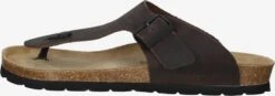 Rohde Slippers Teenslippers Grado Heren Bruin -LLOYD Shoes Shop 6a55dbf1ff32ca8a700ccefae768396a
