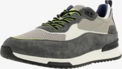 Fashion Sneakers Sneakers Laag Heren Taupe / Stone Grey / Donkergrijs