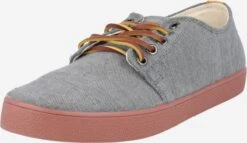Pompeii Skate Sneakers Sneakers Laag Heren Grijs Gemêleerd