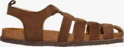 Sandalen & Pantoffels Sandalen Drew FSI Heren Bruin 10 Sandalen & Pantoffels Sandalen Drew FSI Heren Bruin -LLOYD Shoes Shop 777d9473ff6379e2791f55a6acd80703