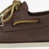 Sperry Lage Schoenen Mocassins Heren Bruin / Lichtbruin / Donkerbruin 2 Sperry Lage Schoenen Mocassins Heren Bruin / Lichtbruin / Donkerbruin -LLOYD Shoes Shop 7b7021422733d0b11a418c2fe32a0532