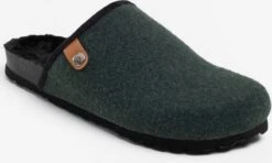Instappers Muiltjes Kansas Heren Groen -LLOYD Shoes Shop 812c2e00e2ed2d2bad897b0b0e82db6e