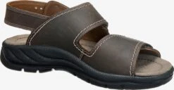 Sandalen & Pantoffels Sandalen Activa Heren Bruin -LLOYD Shoes Shop 93e022a1907159e01b5e9e194804ed69