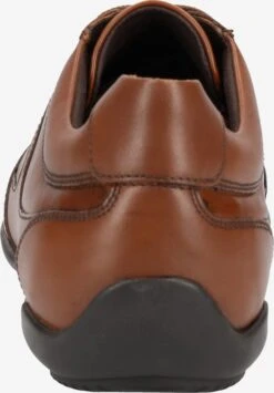 Geox Fashion Sneakers Sneakers Laag Edgeware Heren Bruin -LLOYD Shoes Shop a045f7257f5842301075afad55726b7a