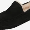 Ugg Lage Schoenen Mocassins Ascot Heren Zwart -LLOYD Shoes Shop a4d1e10fcfd9846ac9e4e29596fa1dd0
