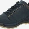 Lowa Casual Veterschoenen Veterschoen Heren Ultramarine Blauw 2 Lowa Casual Veterschoenen Veterschoen Heren Ultramarine Blauw -LLOYD Shoes Shop ab3ce81f5101f58e5f6bc645287f077e