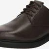 Casual Veterschoenen Veterschoen Larry Heren Bruin -LLOYD Shoes Shop ad8b526c3f406d69517b6161e9378ae4