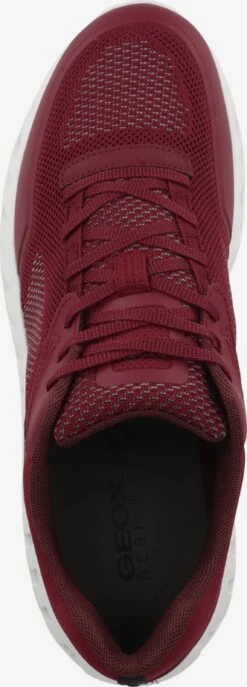 Geox Running Sneakers Sneakers Laag U Outstream A Heren Bordeaux -LLOYD Shoes Shop c0ff5772265226ba549e58e2fccb987f