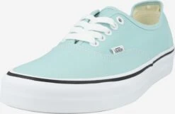 Vans Skate Sneakers Sneakers Laag Heren Blauw