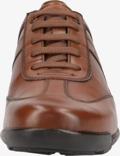 Geox Fashion Sneakers Sneakers Laag Edgeware Heren Bruin -LLOYD Shoes Shop e17ca00b1259824ef9ee79399ce5d025