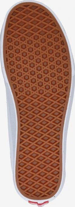 Vans Skate Sneakers Sneakers Laag Heren Bourgogne / Wit -LLOYD Shoes Shop edf2ce76a8532a693f8097f5a608a845